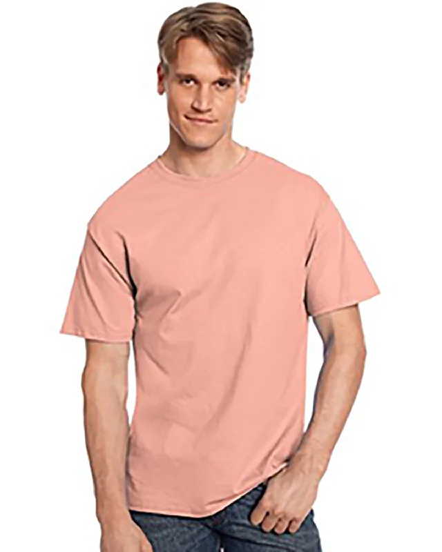 Hanes 5250T Men's Authentic-T T-Shirt