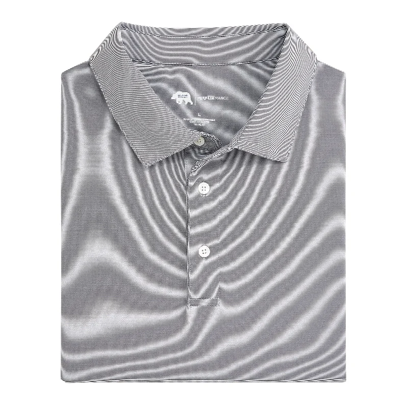 Hairline Stripe Performance Polo - Nine Iron